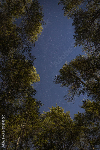 night sky