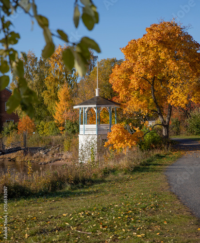 autumn in the city park