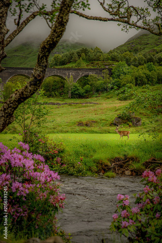 Glenfinnan viaduct