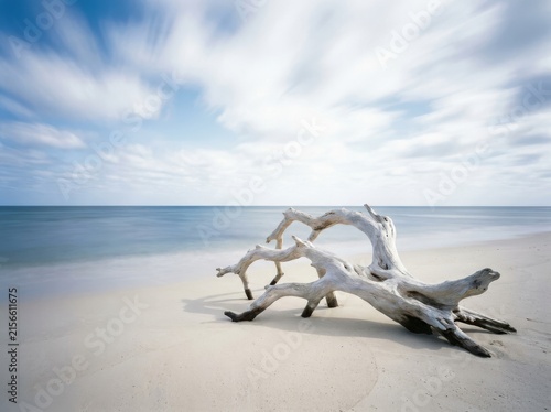 Driftwood on sandy beach with blurred ocean waves and clouds sky long exposure