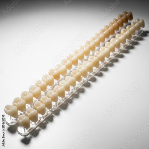 Dental prosthetics displayed in a row for educational purposes