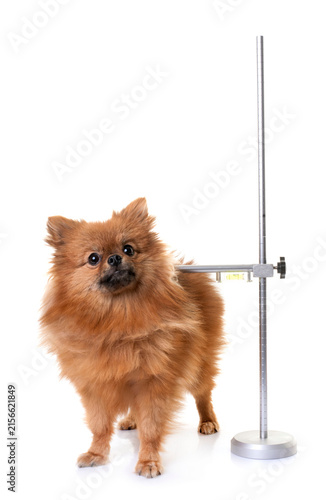 measuring rod