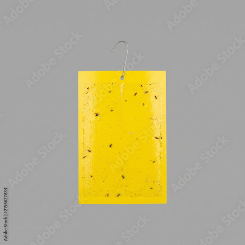 Yellow Sticky Trap Card with Hanging Hook for Agricultural Pest Control