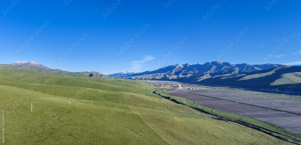 Naklejka premium Rolling Green Grasslands and Snow-Capped Maya Mountain Range, Gansu Plateau