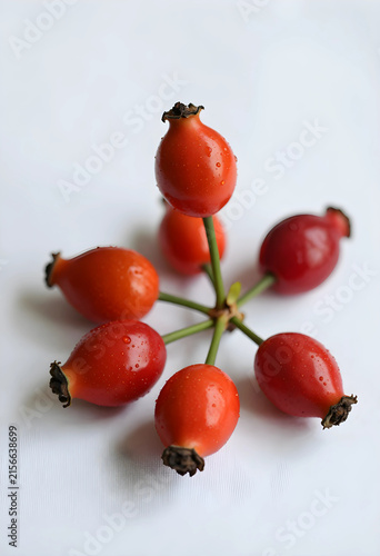 Fresh red rose hips with wa...