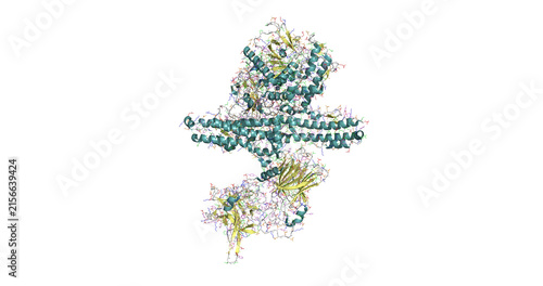 фотографія Clostridium botulinum neurotoxin type B, 3D model 4K