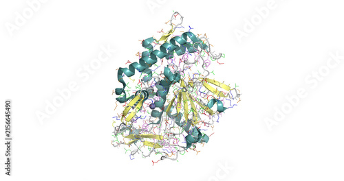 Картината върху платно Clostridium botulinum neurotoxin serotype F catalytic domain bound to inhibitor