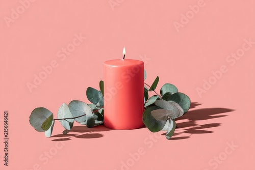 Coral candle with eucalyptus sprigs on pink backdrop