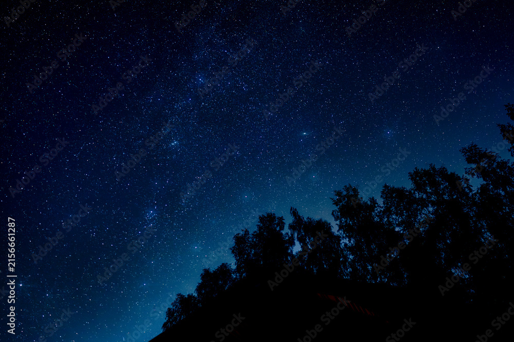 Fototapeta premium Thousands of stars over silhouetted treetops on a clear night, wide-angle astrophotography