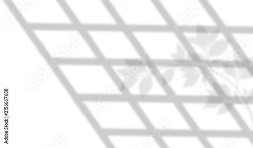 Soft Botanical Trellis Window Shadow Overlay With Leaves Transparent Background