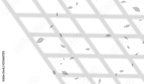 Trellis Window Shadow With Floating Leaves Natural Sunlight Transparent Background