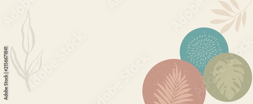 Minimal botanical background with organic shapes and copy space