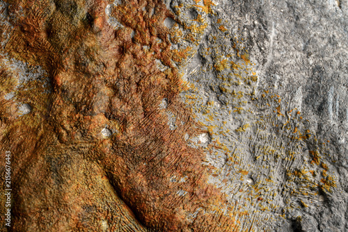 Rust orange and gray weathered stone texture background