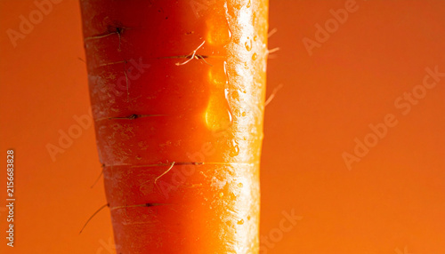 Raw organic carrot closeup with water droplets on orange background, copy space. Macro close-up shot of a fresh raw orange carrot showing tiny roots and shiny water droplet details, isolated.