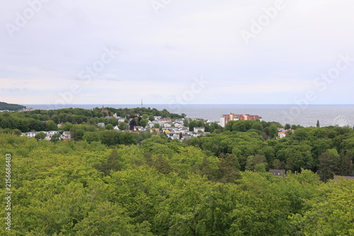 Blick von dem Heringsdorfer Baumwipfelpfad auf die Naturlandschaft der Ostseeinsel Usedom	