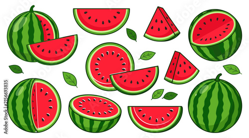 Set of fresh watermelon fruit slices and whole fruits collection