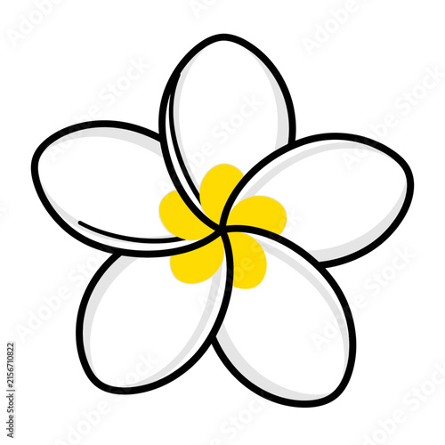 Cartoon plumeria flower illustration, white petals, yellow center. Vector graphic for tropical warmth, natural beauty, summer design concepts