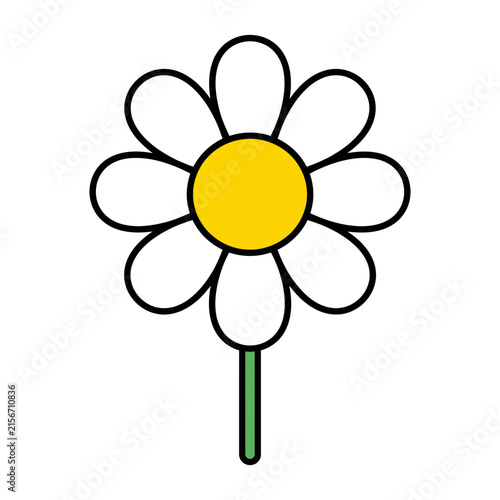 Cute and simple white daisy flower vector illustration with a bright yellow center and green stem for nature designs