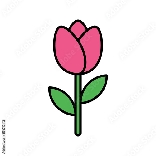Stylized Pink Tulip Flower Illustration with Green Leaves on a White Background for Spring Concept