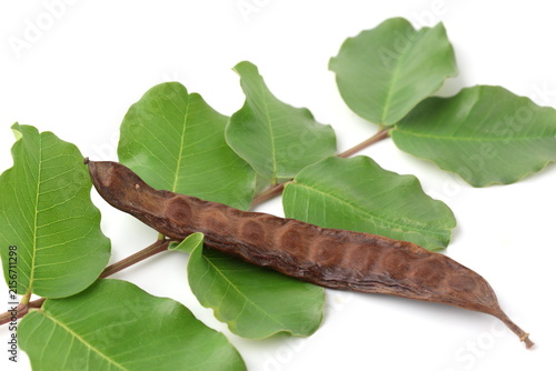Ripe Carob Pod with Fresh Green Leaves Isolated on White Background