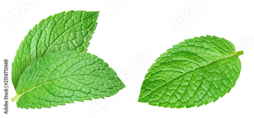 Obraz na plátně Fresh mint leaf set isolated on transparent