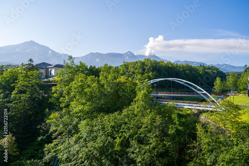 Canvas Print 白ひげの滝から見た十勝岳
