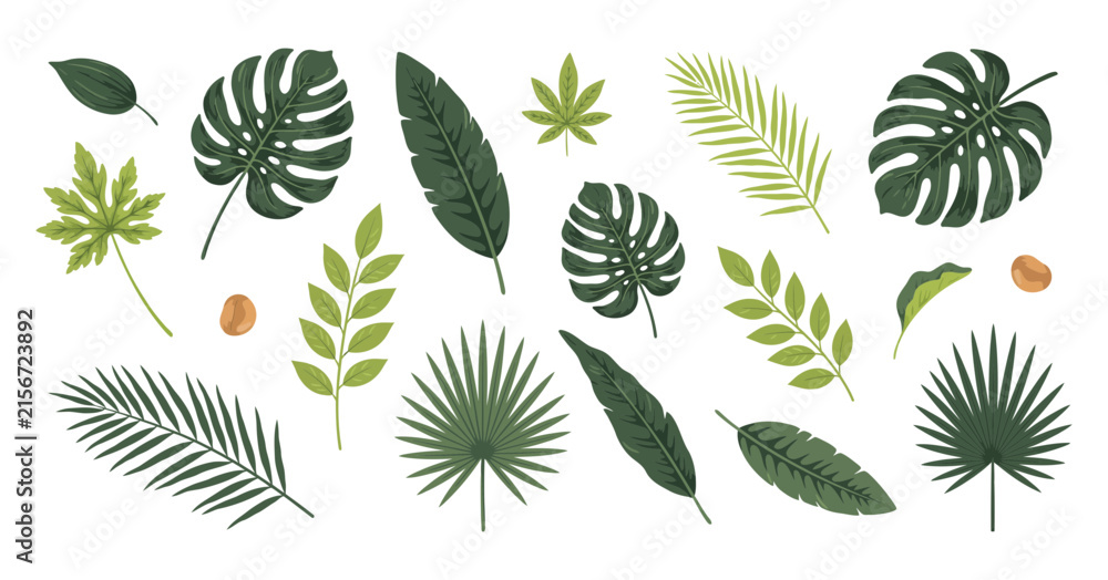 Naklejka premium Collection of tropical foliage and monstera leaves in a vector illustration