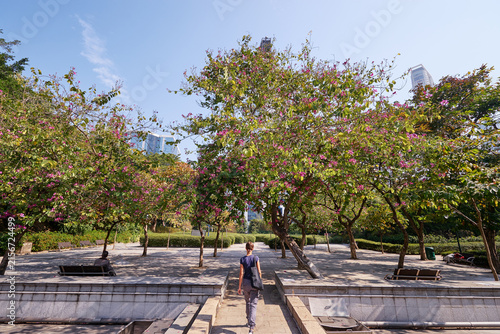 Obraz na płótnie A woman turned back standing in a scenic urban park with blooming purple flowers on trees, people sitting and walking under a sunny sky