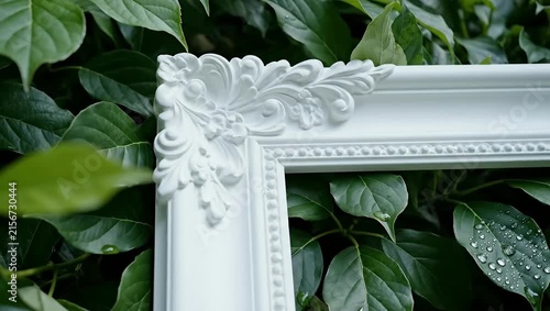 White ornate picture frame against lush green leaves.