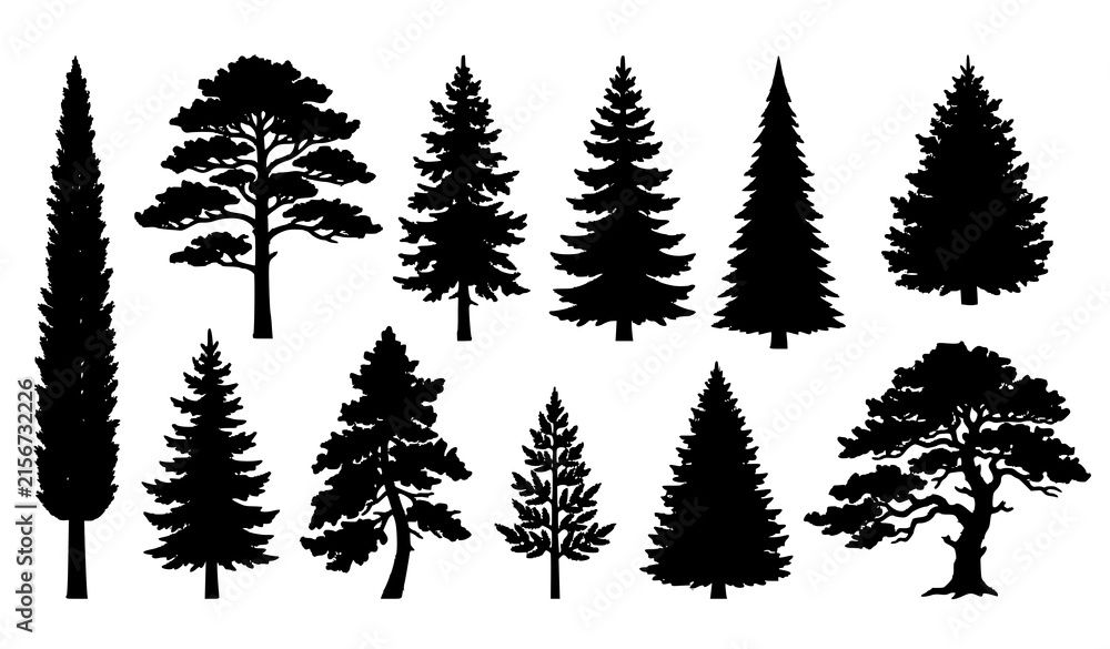 Obraz premium Black Evergreen Pine Fir and Christmas Tree Silhouette Vector Set