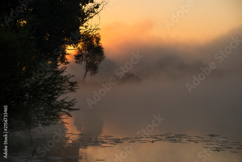 Breathtaking Sunrise and Morning Fog over the Vistula River Oxbow Lake with Trees