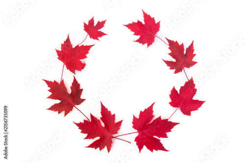 Autumn wreath frame made of red maple leaves on white background with copy space in center. Top view, flat lay