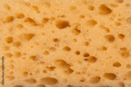 texture of a dishwashing sponge
