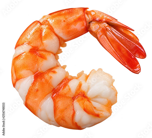 Single cooked shrimp with orange shell and curled body, isolated on transparent background.