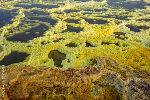 Fototapeta 유황,계단식,웅덩이,소금평원,다나킬지대,Danakil Depression,아파르주,Afar Region ,에티오피아