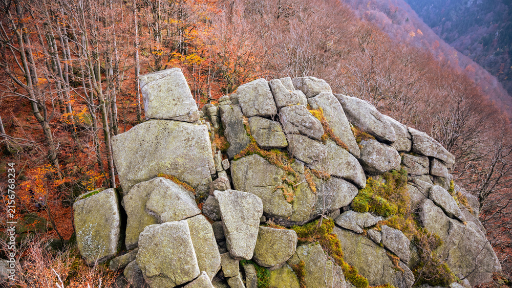Obraz premium Colors of autumn fill the beech forest near Oresnik rock in the Jizera mountains. The trees show orange and yellow leaves under cloudy skies. Nature invites exploration and discovery.