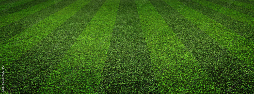 Fototapeta premium Empty striped 3d soccer, football field texture. Green grass texture - well-groomed turf in the garden or soccer stadium