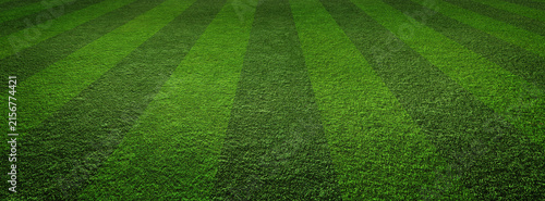 Empty striped 3d soccer, football field texture. Green grass texture - well-groomed turf in the garden or soccer stadium