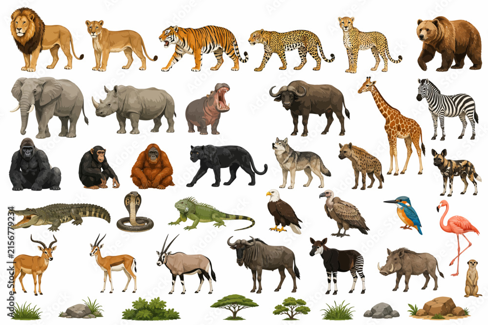 Obraz premium Collection of Wild Animals and Nature Elements Isolated on White Background