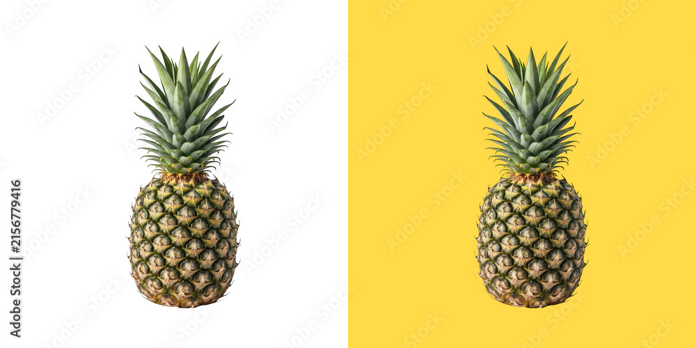 Fototapeta premium Fresh whole pineapple fruit with green leaves on split colors transparent png