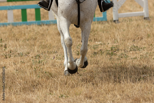 Close-up view of a horse's legs and hooves while competing at an outdoor horse show on dry, hard ground during hot summer weather. The image highlights the dry, parched condition of the ground beneath
