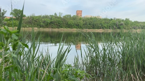 Beautiful scenic lake surrounded by nature
