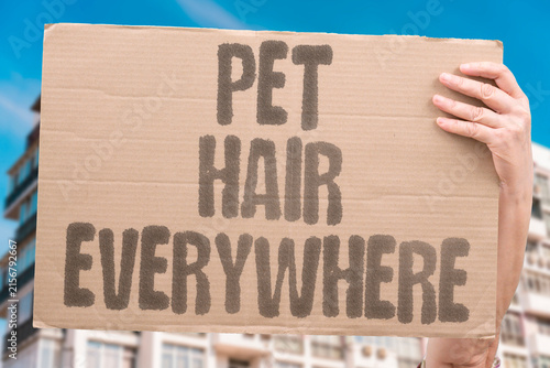 Quadro su tela "Pet Hair Everywhere" Her cat sleeps on my pillow when I'm out