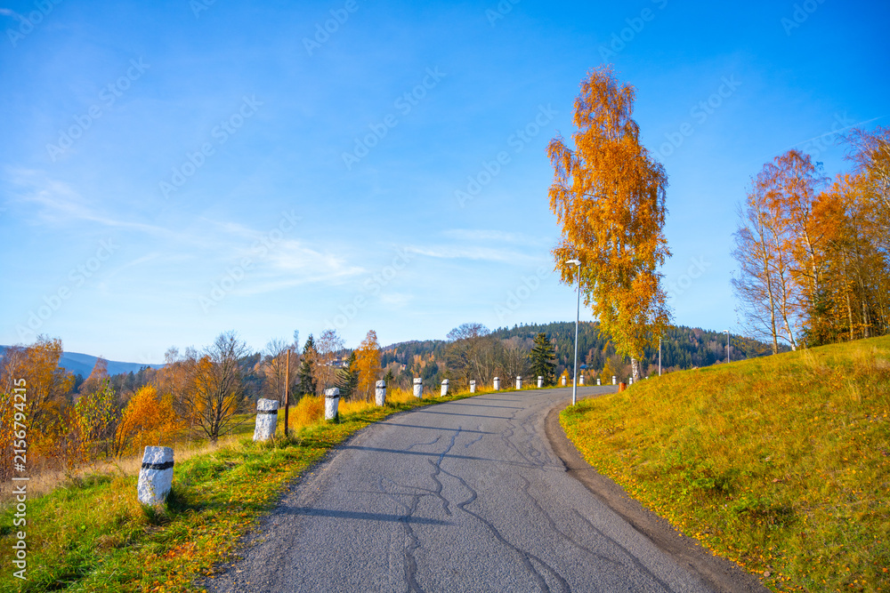 Obraz premium The winding road in Albrechtice shows bright autumn colors from trees in the Jizera Mountains. The landscape features a clear sky and vibrant foliage.