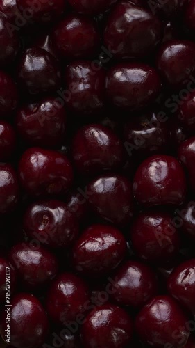 Sweet cherries full-frame background texture. Fresh organic stemless fruits in a tight shot, rotating clockwise in backlit natural window light. Vertical video.
