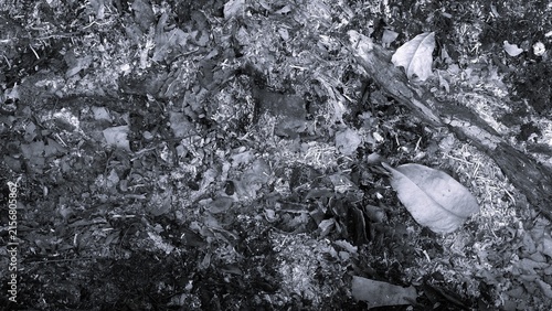 Monochrome forest floor texture with decomposed leaves, soil, roots, and natural organic debris, suitable for earthy backgrounds and nature designs.