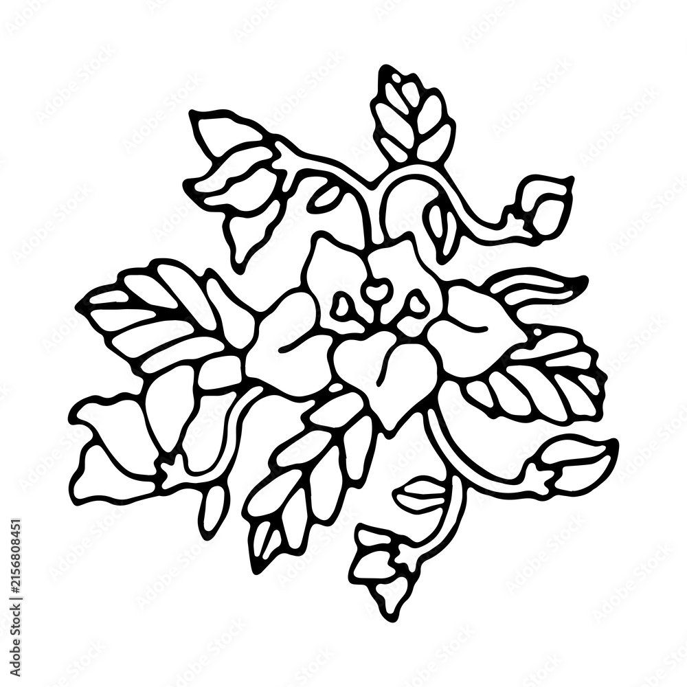 Fototapeta premium hand drawn flower