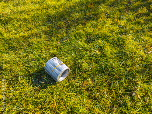 Roll of US Dollar Bills on Green Grass