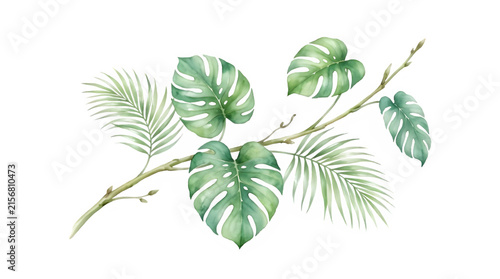 Tropical leaves isolated on PNG background.