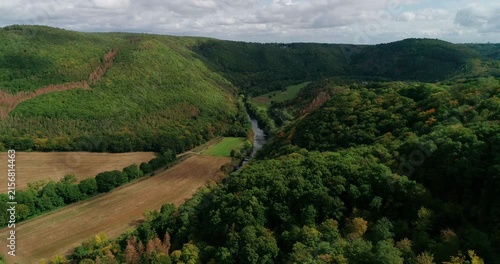 Spätsommer in der Eifel: Weite Mischwälder und Baumkronen aus der Vogelperspektive